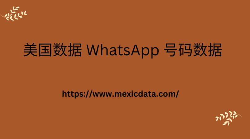 美国数据 WhatsApp 号码数据