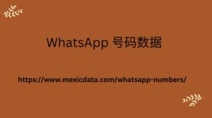 WhatsApp 号码数据