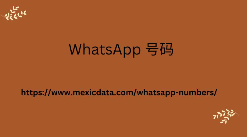 WhatsApp 号码