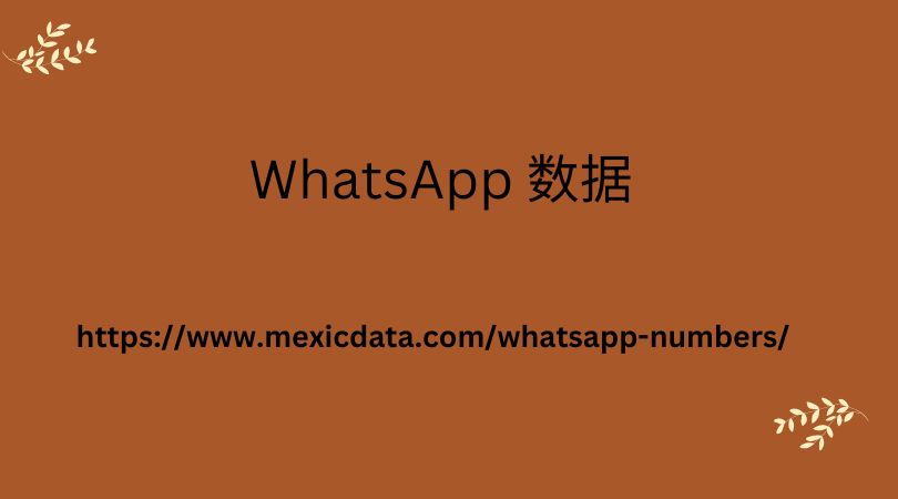 WhatsApp 数据